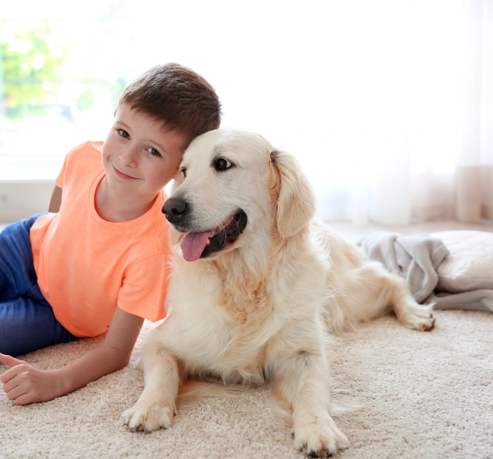 Safe carpet cleaning