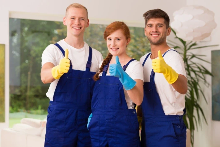 Our professional team
